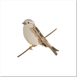 House Sparrow Bird on a Twig Posters and Art